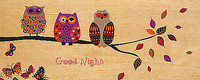 150cm x 60cm Good Night Owl von Wild Apple Portfolio, 