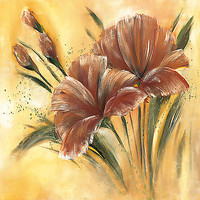 100cm x 100cm Fleur brune I von Zacher-Finet, Isabelle
