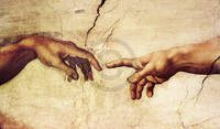 150cm x 88cm Die Erschaffung Adams            von Michelangelo