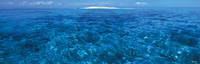 100cm x 33cm Great Barrier Reef II            von John Xiong