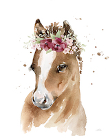 80cm x 100cm Floral Pony von Katrina Pete