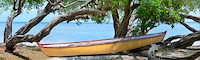 100cm x 30cm Yeloow Bird Boat von Steve Vaughn