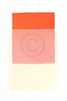100cm x 150cm Color Code 3 von Werner Maier