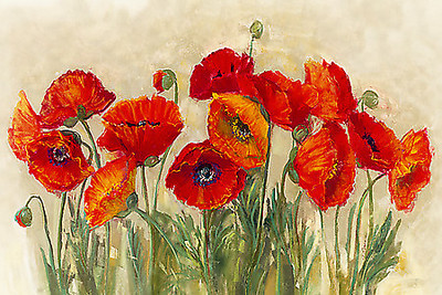 150cm x 100cm Vibrant Poppies von Carol Rowan