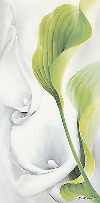 Array Calla II von Annette Schmucker