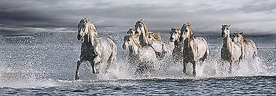 Array Horses Running at the Beach von Jorge Llovet