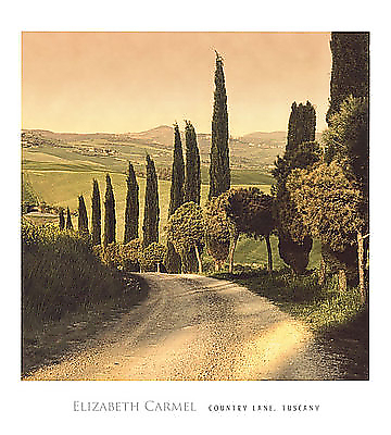 45cm x 50cm Country Lane, Tuscany von Elisabeth Carmel