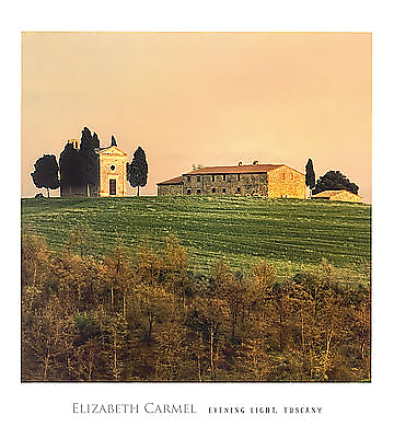 45cm x 50cm Evening Light, Tuscany von Elisabeth Carmel