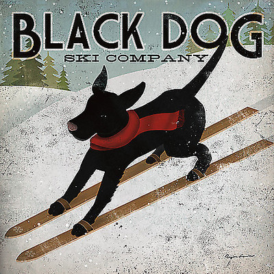 Array Black Dog Ski von Ryan Fowler