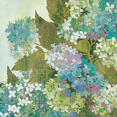 100cm x 100cm Grandiflora Bloom von Kathrine Lovell