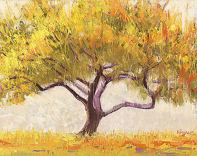 140cm x 110cm Apricot Tree von Shirley Novak