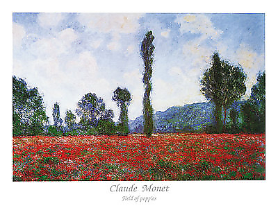 80cm x 60cm Field of Poppies von Claude Monet