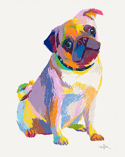 80cm x 100cm Pug Sketch von Patti Mollica