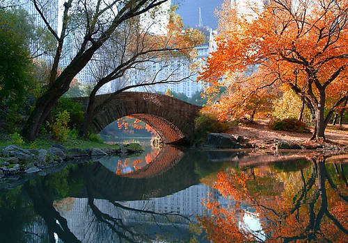 100cm x 70cm Gapstow Bridge, Fall von Michael Chen