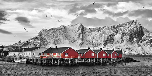 Array Lofoten Nähe Reine mit roten Hütten von Rolf Fischer