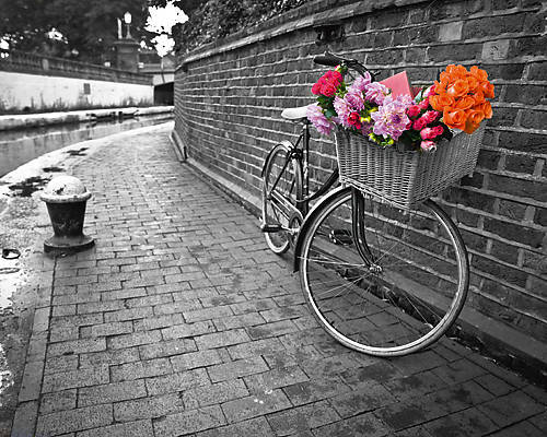 Array Bicycle of Love I von Assaf Frank