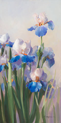 50cm x 100cm Iris French Cancan von Sylvie Vernageau