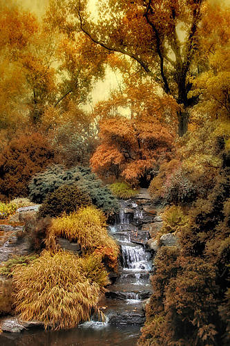 Array Japanese Rock Garden von Jessica Jenny