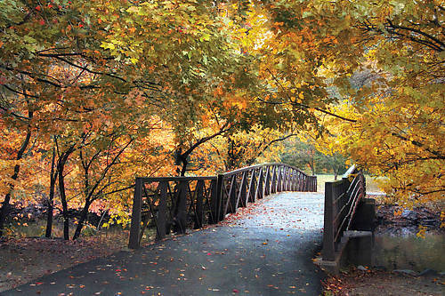 100cm x 67cm Autumn Overpass von Jessica Jenny