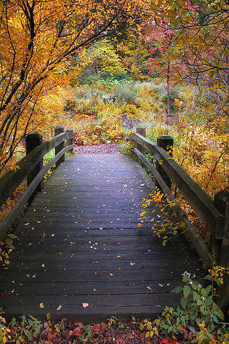 67cm x 100cm Bridge over Shallow Water von Jessica Jenny