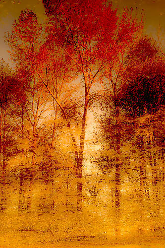 67cm x 100cm Autumnal Grunge von Norm Stelfox