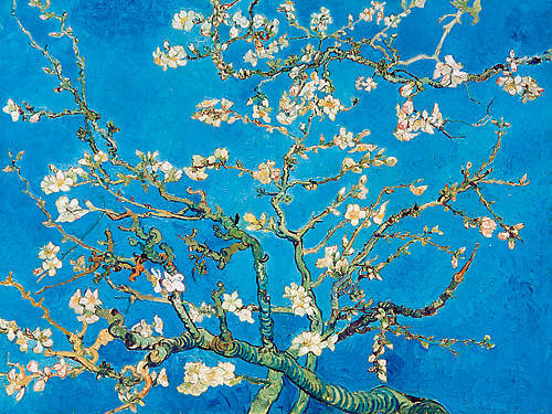 Array Almond Blossom San Remy 1890 von Vincent Van Gogh