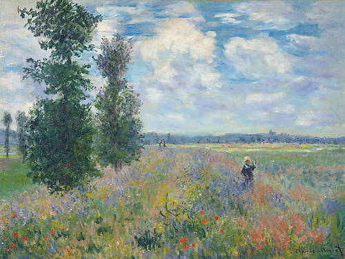 Array Les Coquelicots (dintorni di Argenteuil) von Claude Monet