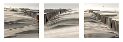 Array Sand, Wind von Georges-Félix Cohen