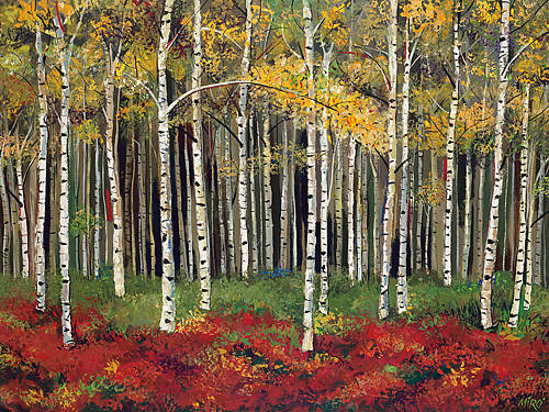 100cm x 75cm Aspen Forest von Miro Kenarov