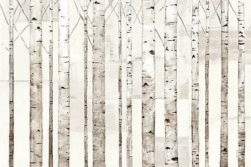 100cm x 67cm Birch Trees on White von Avery Tillmon