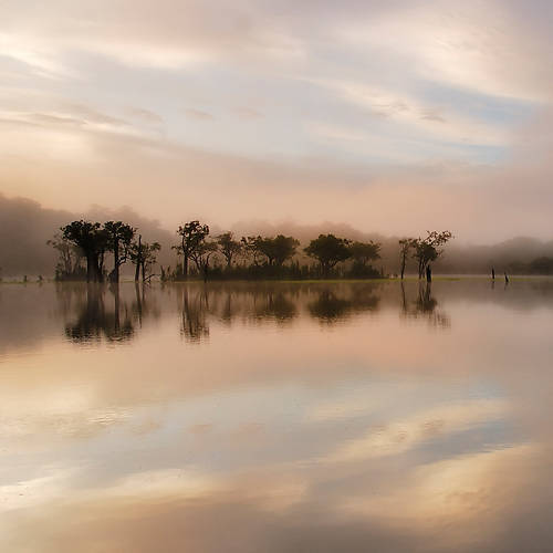 100cm x 100cm Dawn Mist on the Amazon von Andy Mumford