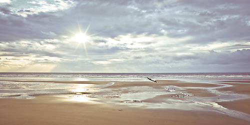 Array Seascape von Assaf Frank