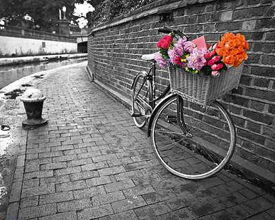 50cm x 40cm Bicycle of Love I von Assaf Frank