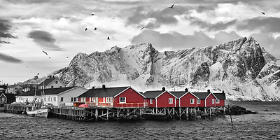 100cm x 50cm Lofoten Nähe Reine mit roten Hütten von Rolf Fischer