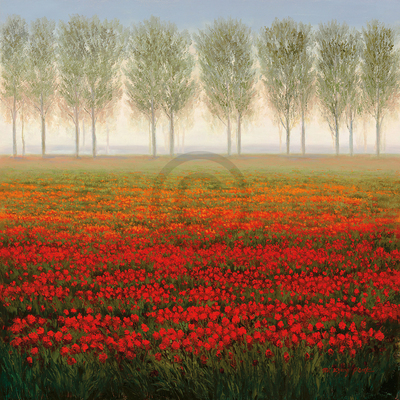 68cm x 68cm Morning Mist                     von Park