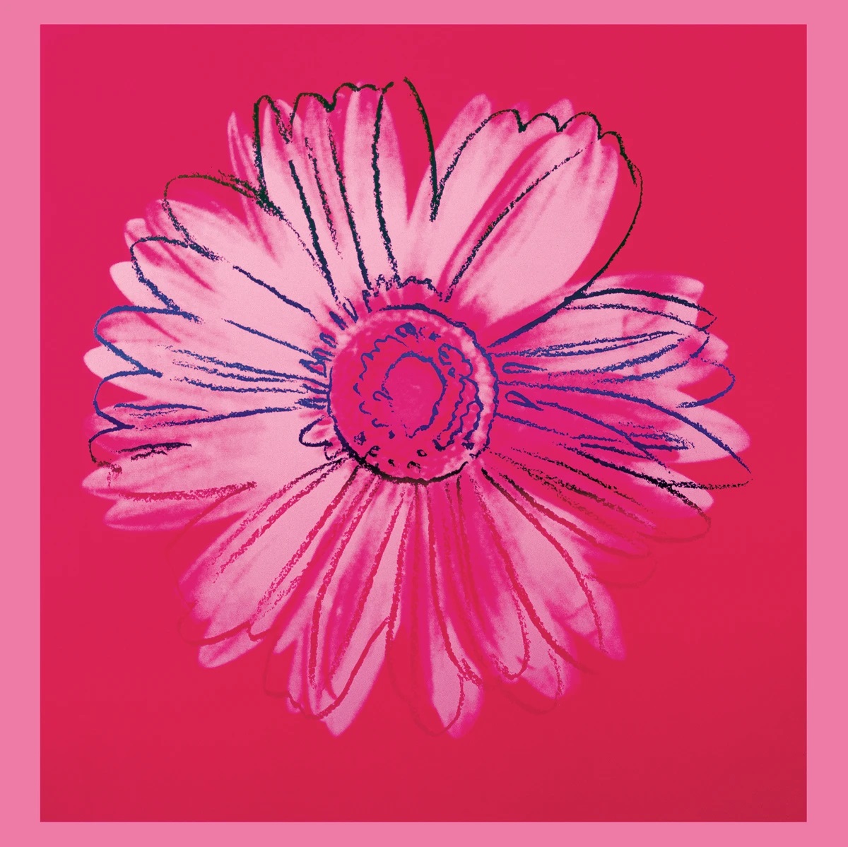 90cm x 90cm Daisy, 1982                      von Andy Warhol