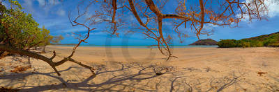 Array Cape York Beach                  von John Xiong