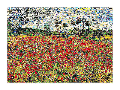 80cm x 60cm Field of Poppies von Vincent Van Gogh