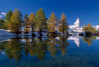 Array Matterhorn with Larches I        von Thomas Marent