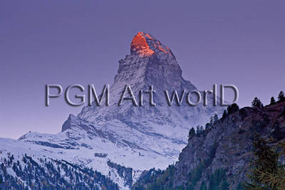 Array Matterhorn with Larches III      von Thomas Marent