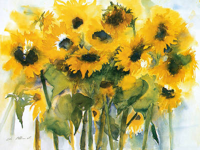 Array Sonnenblumenfeld                 von Christa Ohland