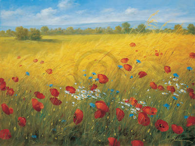 80cm x 60cm Sparkling field I                von Heinz Schölnhammer