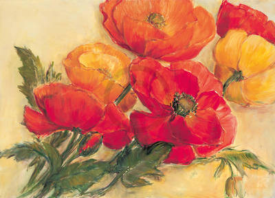 Array Splendid Poppies                 von Elisabeth Krobs