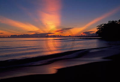 Array Sunrise at Beach                 von Thomas Marent