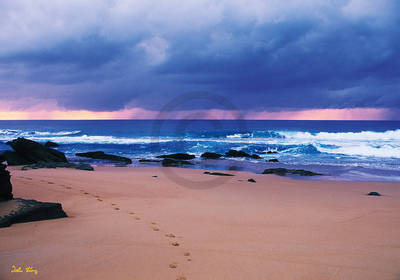 Array To the beach                     von John Xiong