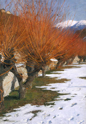 Array Weiden in der Wintersonne        von Alexander Koester