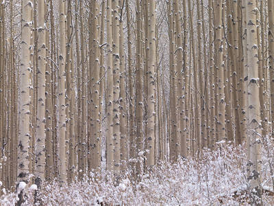 Array Winterharmonie                   von Micha Pawlitzki