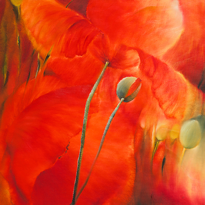 Array Roter Mohn von Annette Schmucker