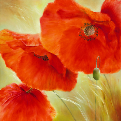 Array Drei Mal Mohn von Annette Schmucker