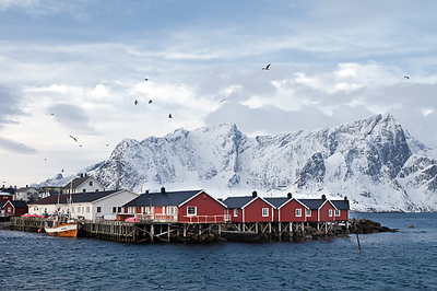 Array Fischerhütten Lofoten Nähe Reine von Rolf Fischer